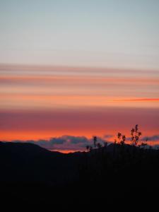 Forest Corner Luxury Apartment with Hot Tub
