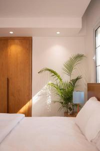 Western by Spacey #10 - Studio in Maadi