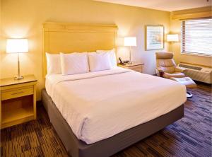 King Studio - Non-Smoking room in LivINN Hotel Cincinnati North/ Sharonville