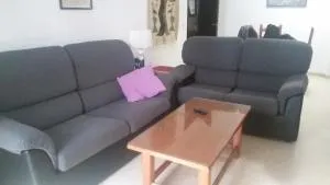 Estadio 6 - Puerto Real