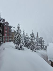 Arc 1950 - Appartement 2 chambres - 6 personnes - 53m2-ski aux pieds - Les Sources de Marie