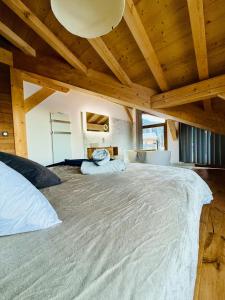 Chalet Monarch - Les Carroz - Sauna, Spa & vue Montagnes