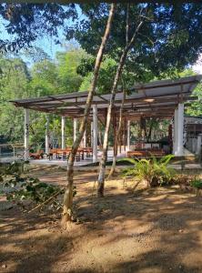 Pachamaya River Hostel