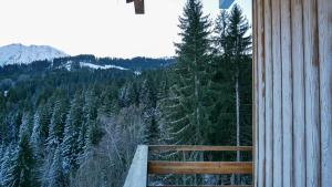 Appartement Proche Des Pistes By TerraAlpina