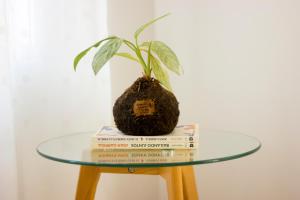 New and cozy apartment in the center of Gandia