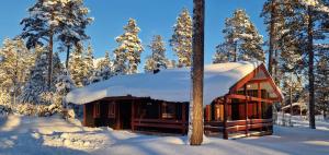 Sauna | Wi-Fi | Terrace | Wood stove | Cable TV - 3hvězdičkové hotely ve městě Lofsdalen