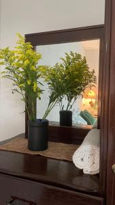 Algo Más Apartamentos