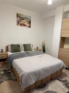 Apartament Someseni - Dezmir