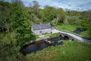 Otter Cottage - Carnguwch