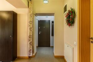 Ski View Apartment Predeal