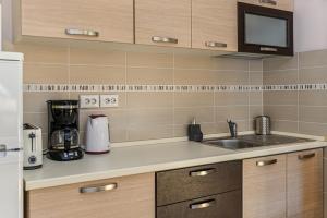 Ski View Apartment Predeal