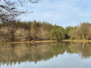 Villas Domaine en Sologne Les 40 Chenes : photos des chambres