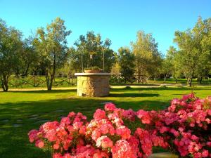 Agriturismo Li Scopi img39