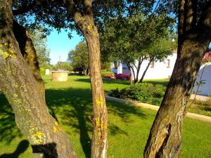 Agriturismo Li Scopi img27