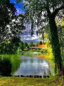 Campings Camping 4 etoiles - Piscine - ccafgef : photos des chambres