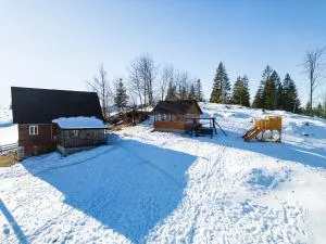 Casa din Deal-Apuseni - Gheţari