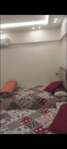 شقه علي النيل