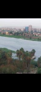 شقه علي النيل