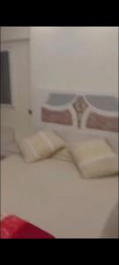 شقه علي النيل