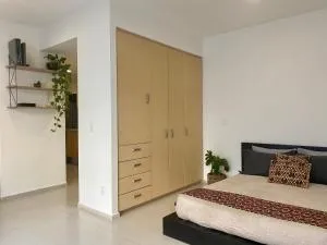 C206 - 1BR - 1BTh - 墨西哥城