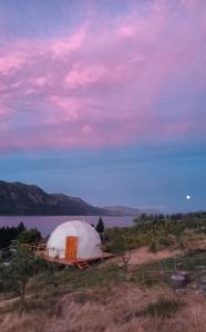 Domos Ollagua Cholila