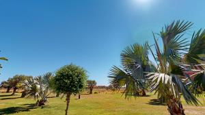 Blackpearl apartment