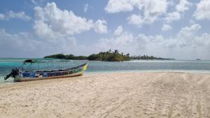 Sailing Experiences - Full Catamaran with skipper