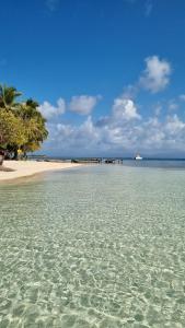 Sailing Experiences - Full Catamaran with skipper