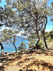 Appartements Casa Del Mar, en plein centre ville! : photos des chambres