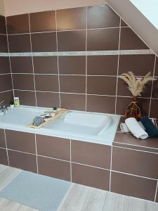 Villas villa familiale avec spa et sauna : photos des chambres