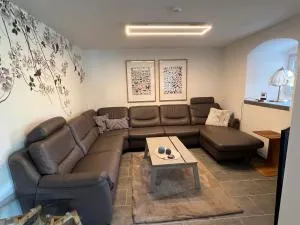 Natur pur Eifel - 施泰弗尔恩