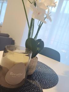 Appartements Coeur De Ville - Tres Spacieux Et En Hyper Centre : photos des chambres