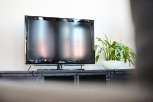 Appartements Wie d-Heim - Gite d-Alsace tout equipe : photos des chambres