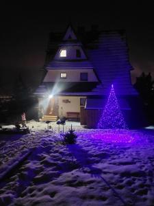 Widokowy Zakątek u Kamila