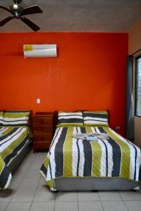 Anchorage Beach Resort Caye Caulker