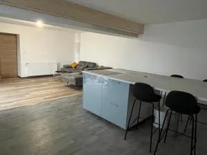 Appartement entier - 班德布雷塔尼