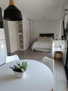 Monoambiente Plaza Mitre