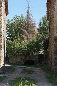 Maisons de vacances Sur les Rives du Haut Allier : photos des chambres