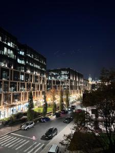 Central Premium Apartment