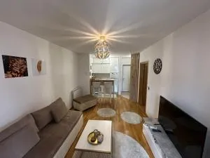 Prestige Apartman Bulevar - 伊利扎