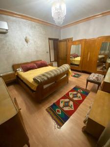 Luxury apartment for rent with Nile view