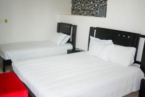 Hotel Suite Continental