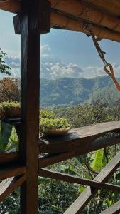 CabaƱa entre cafetales en Salento