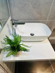 Executive 4BR 3Bath Entire Apartment in Heart of the City & Parking