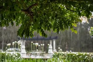 The Woods Pokolbin - بوكولبين