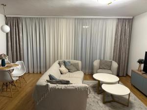 Plava Zvezda Centar Free Garage