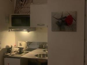 Appartements Charming Studio with Balneo Shower, Parking Included : photos des chambres