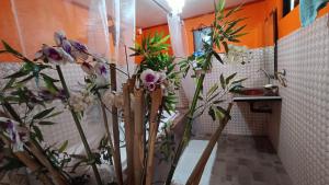 M and D Inland Resort