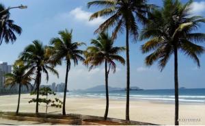 Apto 1 quadra da praia - Pitangueiras