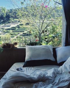 Phòng Gia đình nhìn ra Núi (Family Room with Mountain View)